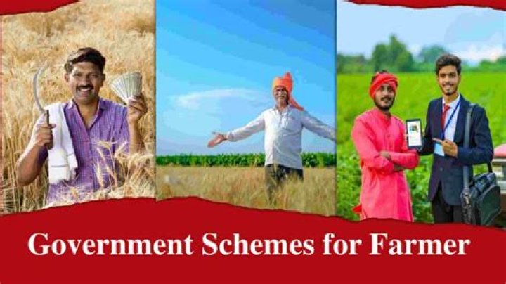 Top Phillips Agri Solutions for Farmers
