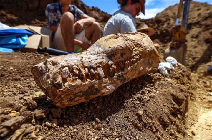 Trending Now: Incredible Discoveries in the World of 