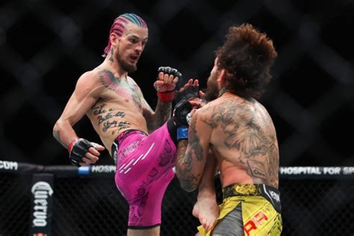 UFC Fight: When is Sean O'Malley's Next Fight?