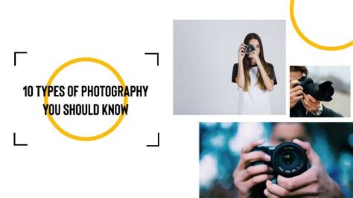 Uncover the World of Photography with Efraim Grinberg, Master Lensman