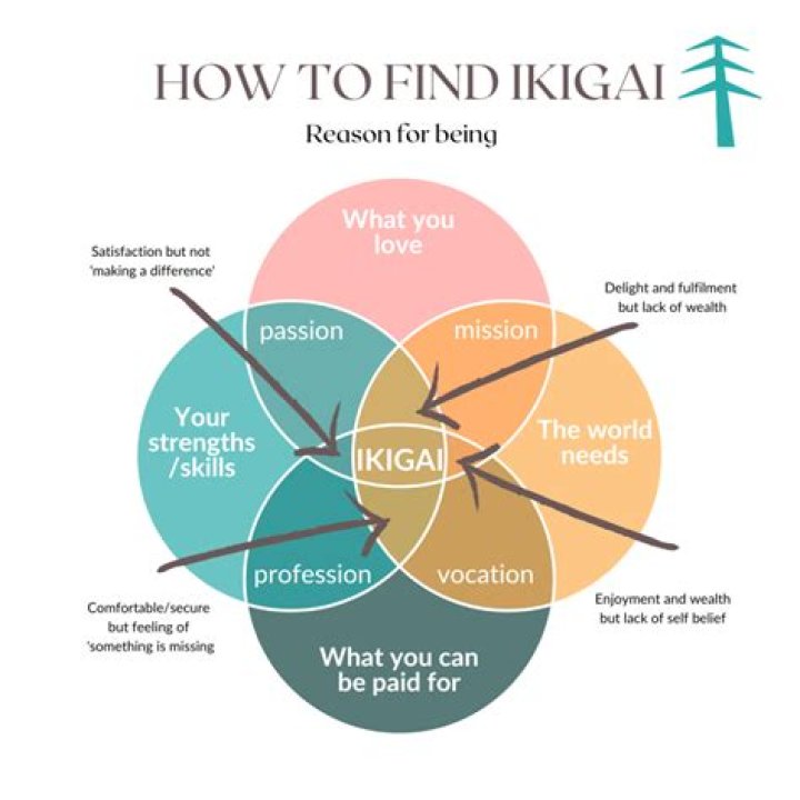 UnctumaZa Com: Your Ultimate Guide to Discovering the Hidden Gem