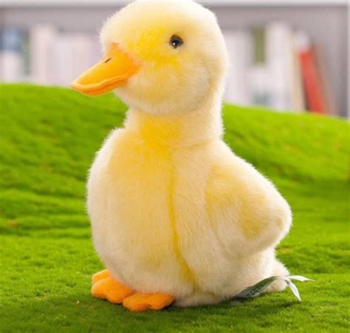 Understanding Clarkpb01 Penis: A Comprehensive Guide