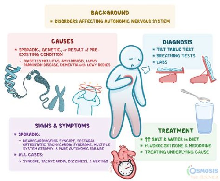 Understanding Hasbulla Syndrome: A Comprehensive Guide