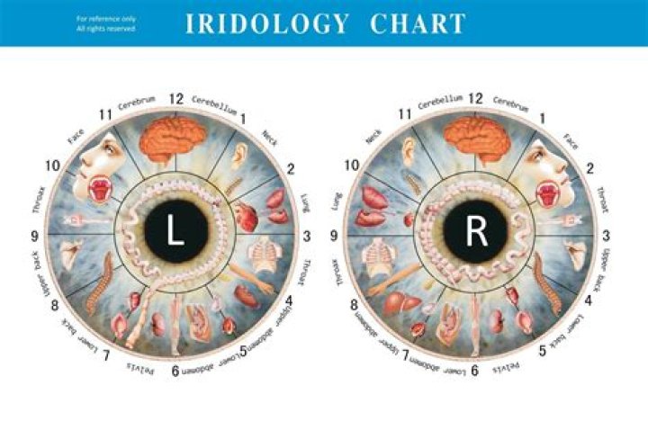 Understanding Left Eye Vision: Insights, Causes, and Solutions