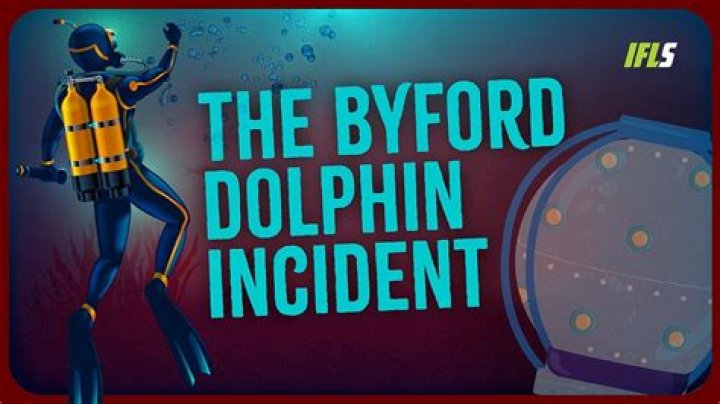 Understanding the Bi4 Dolphin Incident: A Deep Dive into the Controversy