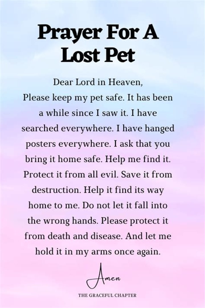 Understanding the Cat Prayer for Death: A Guide to Comfort and Closure