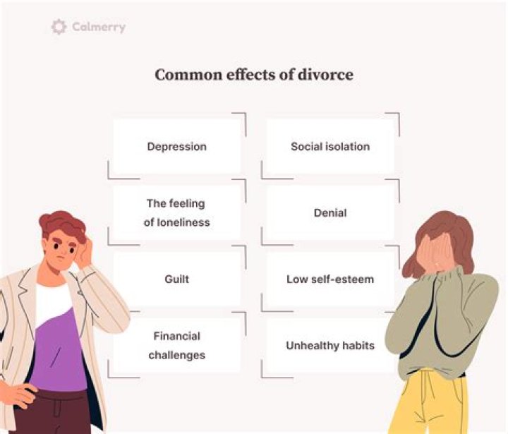 Understanding the Divorce of Alex Wagner: Insights and Implications