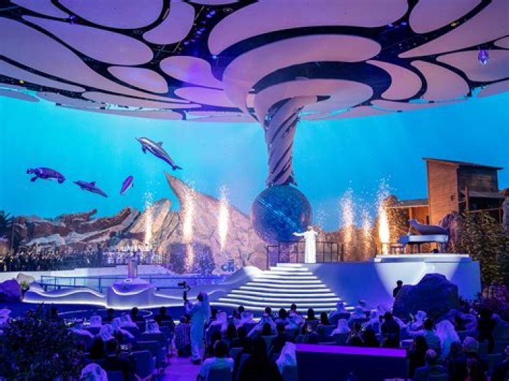Understanding the Event: Mime at SeaWorld Fired