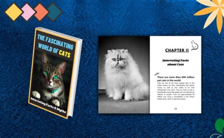 Understanding the Fascinating World of Bambino Cats
