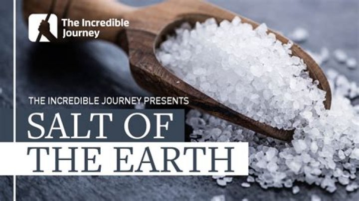 Understanding the Importance of Salt and Spoon in Culinary Arts