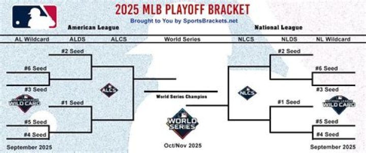 Understanding the MLS Playoffs Bracket: A Complete Guide