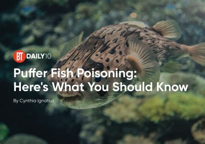 Understanding the Risks of Puffer Fish: Why Man Dies from Puffer Fish Poisoning