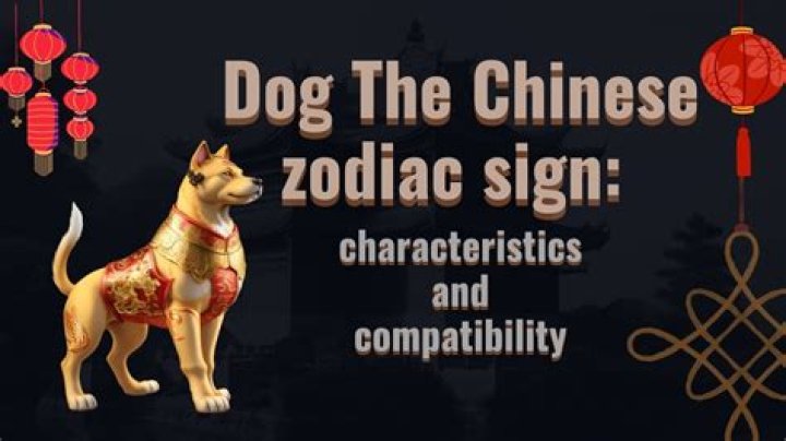 Understanding the Traits of the Chinese Dog Zodiac