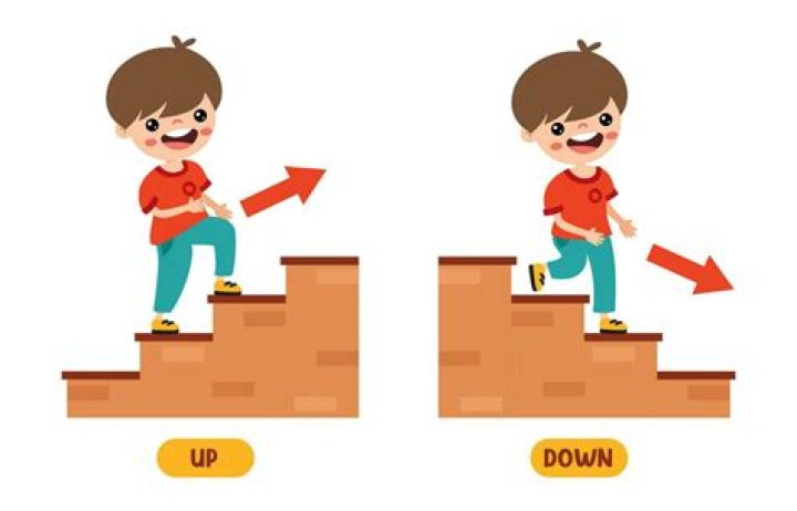 Understanding the Up and Down: A Comprehensive Guide