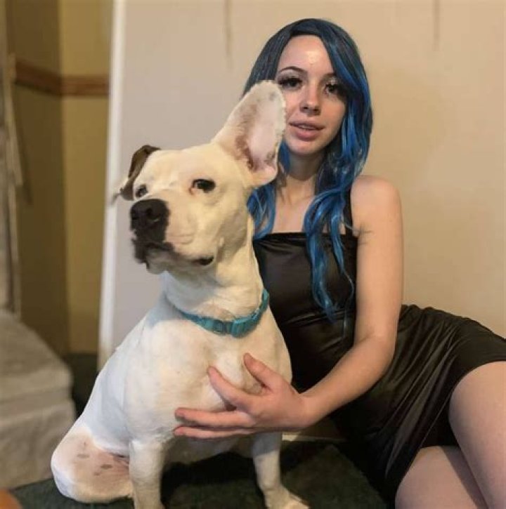 Unleashing the Mystery of Dogxxx: A Deep Dive into Canine Fascination