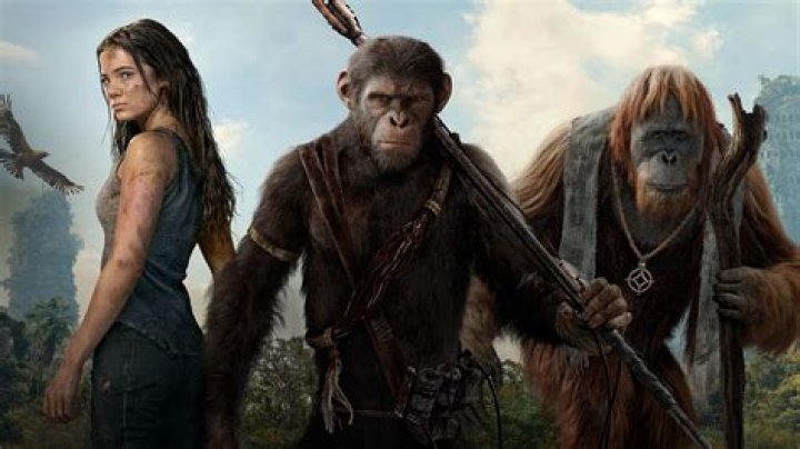 Unlock the Magic of Vegamoviesi: Your Ultimate Streaming Destination