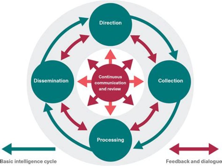 Unlocking the Potential of Omege App: Your Guide to Enhanced Productivity