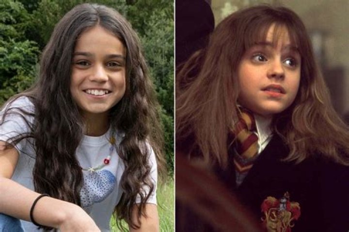 Unlocking the Secrets of Hermione's 6th Year Schedule