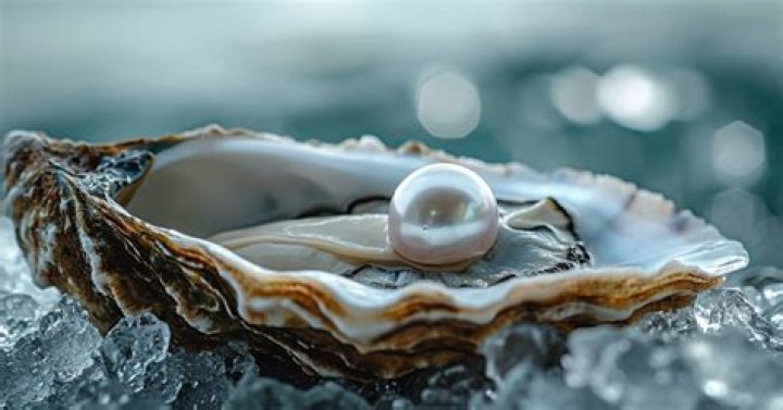 Unlocking the Secrets of Public Oyster: An In-Depth Guide