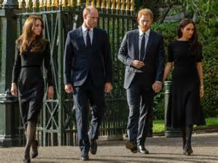 Unraveling the Enigma of Prince Harry and Meghan