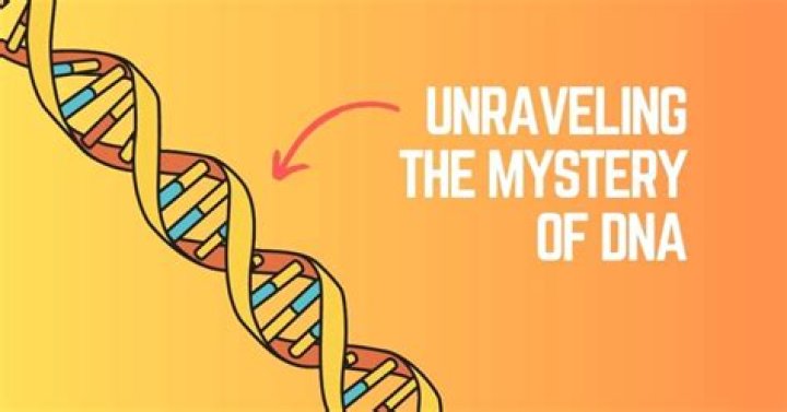 Unraveling the Mysteries of Arikystsya Leaked: What You Need to Know