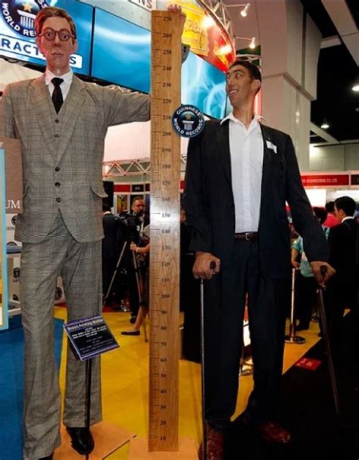 Unveiling the Height of Robert Carlyle: How Tall is He?