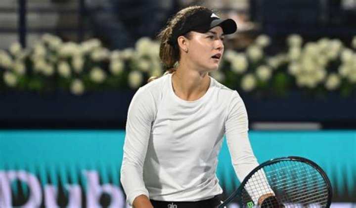 Unveiling the Journey of Anna Kalinskaya: A Rising Tennis Star