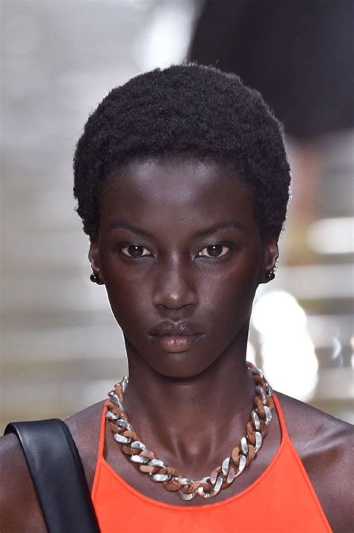 Unveiling the Journey of Anok Yai: From Sudan to Stardom