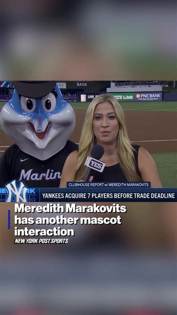 Unveiling the Mystery of Meredith Marakovits Partner