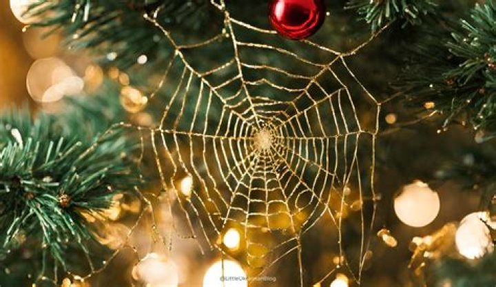 Unveiling the Myth: The Story Behind Spider Man Sophie Rain