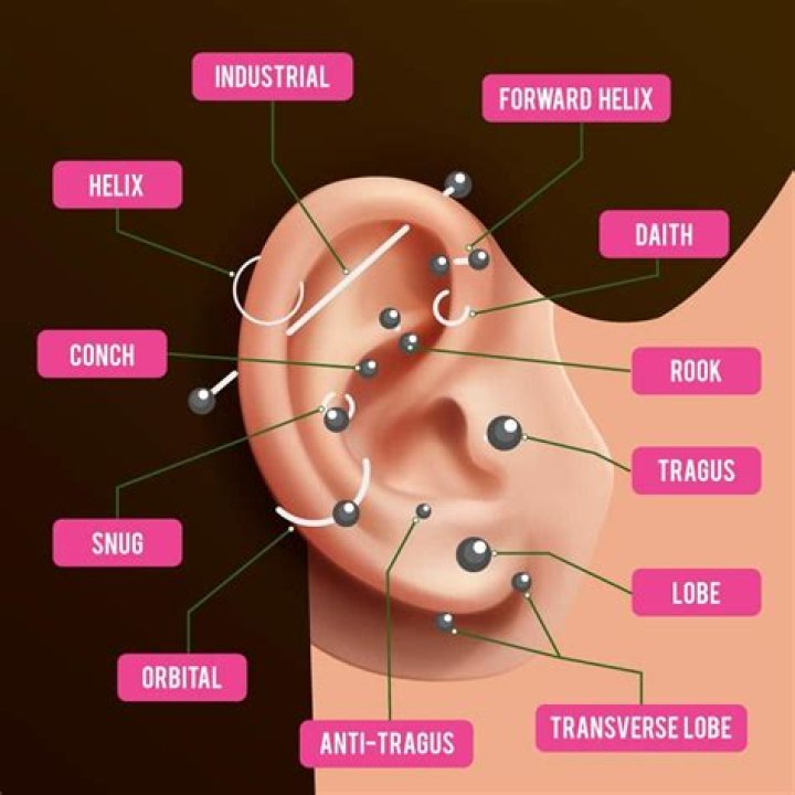 Unveiling the World of Ear Piercings: Comprehensive Guide to Ear Piercings Names
