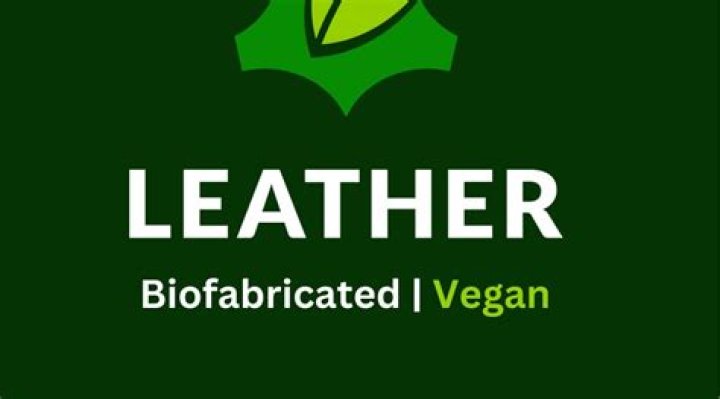 Vegamovei: Revolutionizing Vegan Fashion with Style and Sustainability