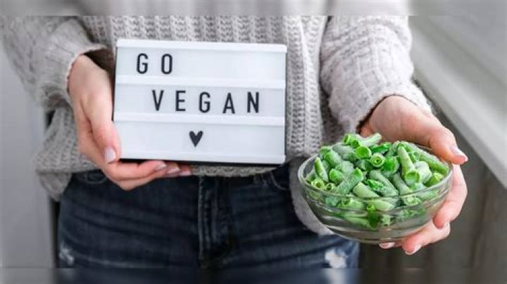 Vegamoves: Your Ultimate Guide to Navigating Vegan Lifestyles