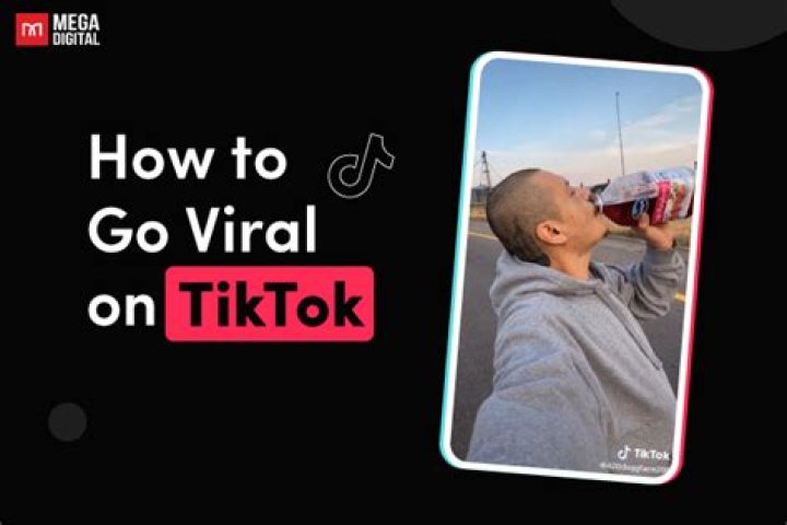 Viralkaan: Your Ultimate Guide to Making Content Go Viral in 2023