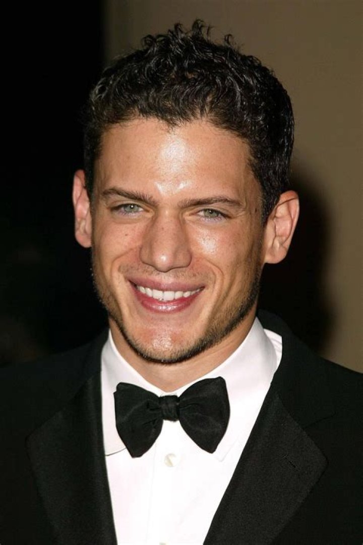 Wentworth Miller Net Worth 2024: A Deep Dive into the Star's Wealth