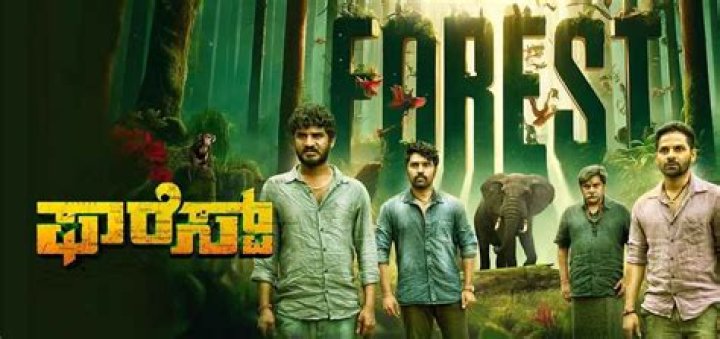 Why Movierulz Forest Kannada Movie Download is a Controversial Topic and What You Need to Know
