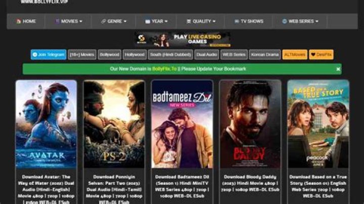 www bollyflix vip movies download: Your Ultimate Guide to Streaming Bollywood Movies