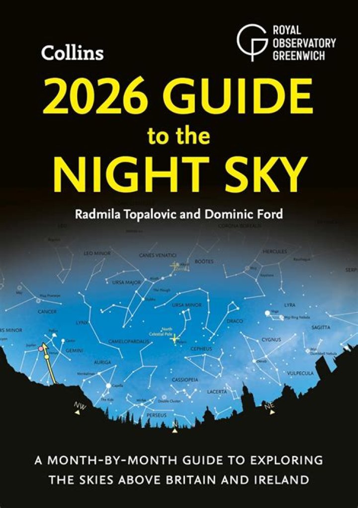 XXMX: The Ultimate Guide to Exploring the Phenomenon That&rsquo;s Taking the World by Storm