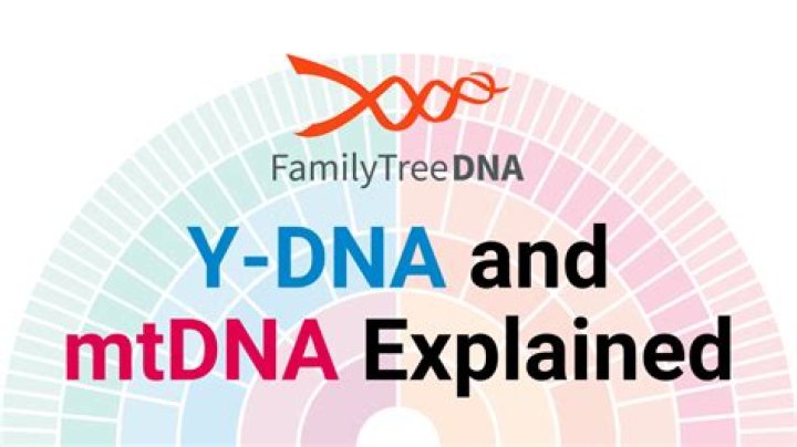 Young Paradise Register: Discover, Connect, and Thrive in the Digital Age