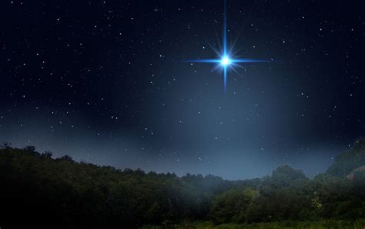 Zoe_Lovee: The Rising Star Shining Bright in the Digital Age